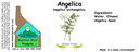 Angelica Seed NF 4x1.5.webp