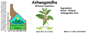 Ashwagandha NF 4x1.5.webp