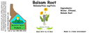 Balsam Root NF 4x1.5.webp