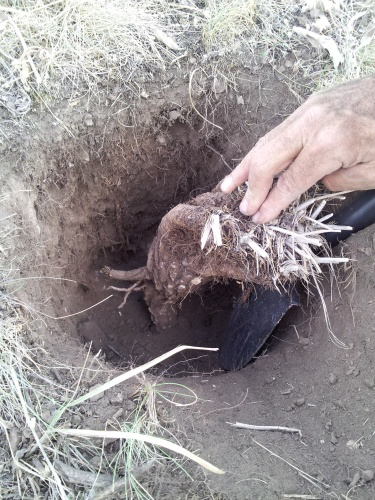 20120922_164053 copy.webp