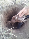 20120922_164053 copy.webp