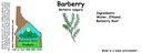 Barberry ST 4x1.5.webp
