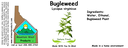 Bugleweed NF 4x1.5.webp