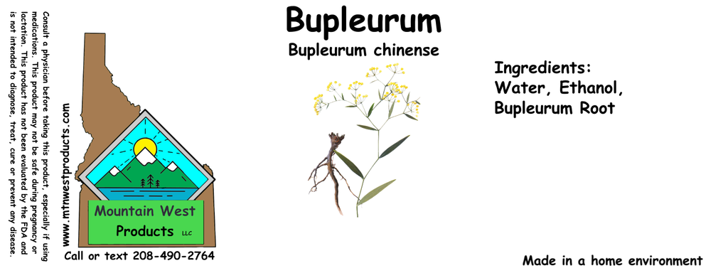 Bupleurum ST 4x1.5.webp