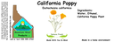 CA Poppy NF 4x1.5.webp