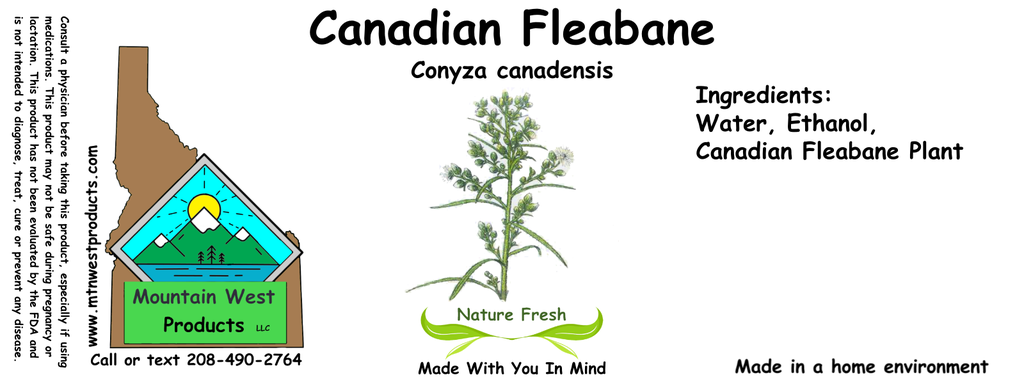 Canadian Fleabane NF 4x1.5.webp