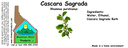 Cascara Sagrada ST 4x1.5.webp