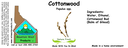 Cottonwood NF 4x1.5.webp