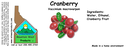 Cranberry ST 4x1.5.webp