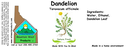 Dandelion Leaf NF 4x1.5.webp