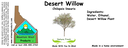 Desert Willow NF 4x1.5.webp