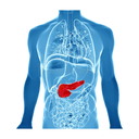 Blood - Sugar Support White.webp