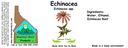 Echinacea Root NF 4x1.5.webp