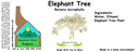 Elephant Tree NF 4x1.5.webp