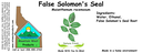 False Solomon's Seal NF 4x1.5.webp