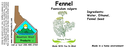 Fennel NF 4x1.5.webp