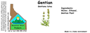 Gentian ST 4x1.5.webp