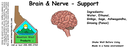 Brain & Nerve - Memory ST 4x1.5.webp