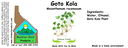 Goto Kola NF 4x1.5.webp