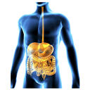 Digest Support White.webp