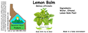 Lemon Balm NF 4x1.5.webp