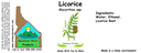Licorice NF 4x1.5.webp