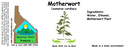 Motherwort NF 4x1.5.webp
