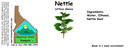 Nettle Root ST 4x1.5.webp