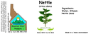 Nettle Seed NF 4x1.5.webp
