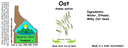 Oats NF 4x1.5.webp