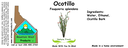 Ocotillo NF 4x1.5.webp