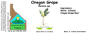 Oregon Grape NF 4x1.5.webp