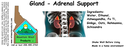 Gland - Adrenal ST 4x1.5.webp