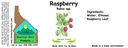 Raspberry Leaf NF 4x1.5.webp