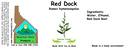 Red Dock NF 4x1.5.webp