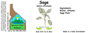 Sage NF 4x1.5.webp