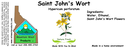 Saint John's Wort NF 4x1.5.webp