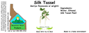 Silk Tassel NF 4x1.5.webp