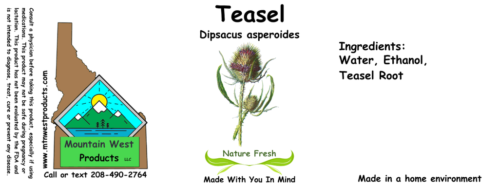 Teasel NF 4x1.5.webp