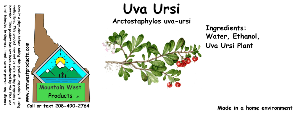 Uva Ursi ST 4x1.5.webp