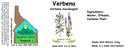 Verbena NF 4x1.5.webp