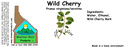 Wild Cherry Bark ST 4x1.5.webp