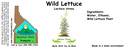 Wild Lettuce NF 4x1.5.webp