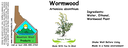 Wormwood NF 4x1.5.webp