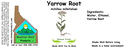 Yarrow Root NF 4x1.5.webp