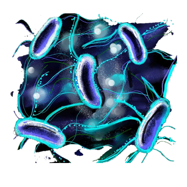 Bug Fighter White.webp