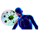 Immunity - Floo Support White.webp