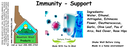 Immunity - Support ST 4x1.5.webp