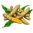 Turmeric White.webp