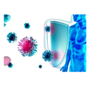 Immunity - Support White.webp
